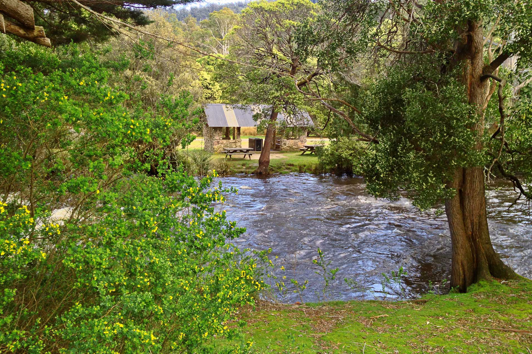 Tyenna River from Cottages